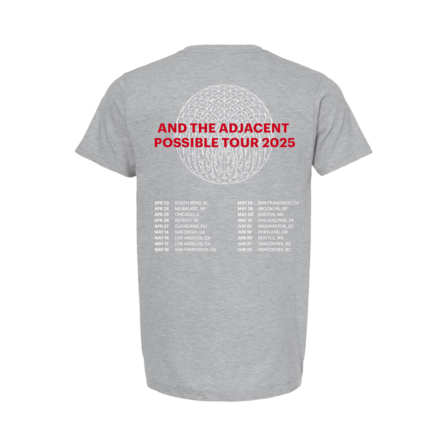 2025 Spring Tour T-Shirt (Unisex) in Grey